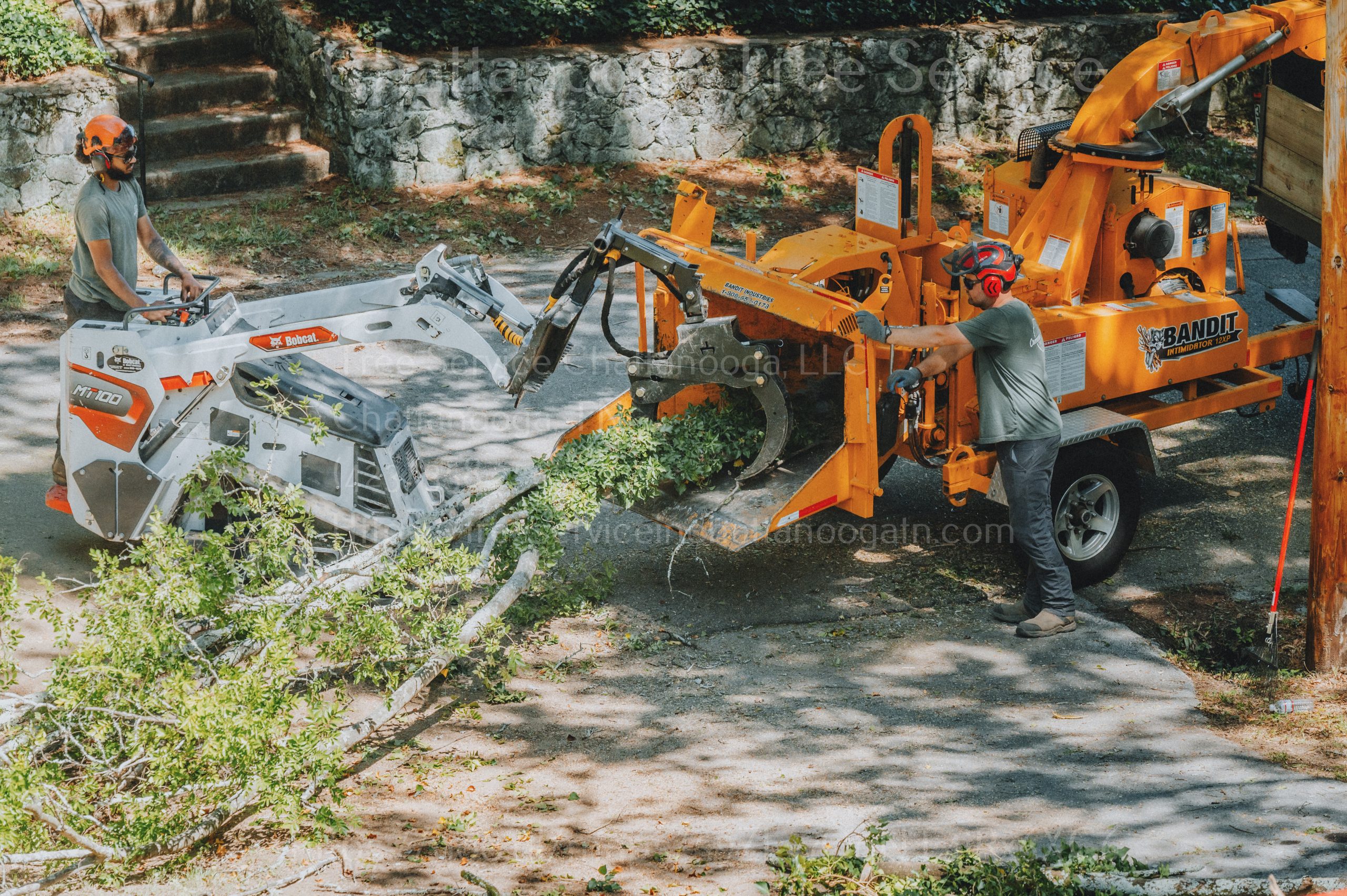 tree trimming chattanooga tn