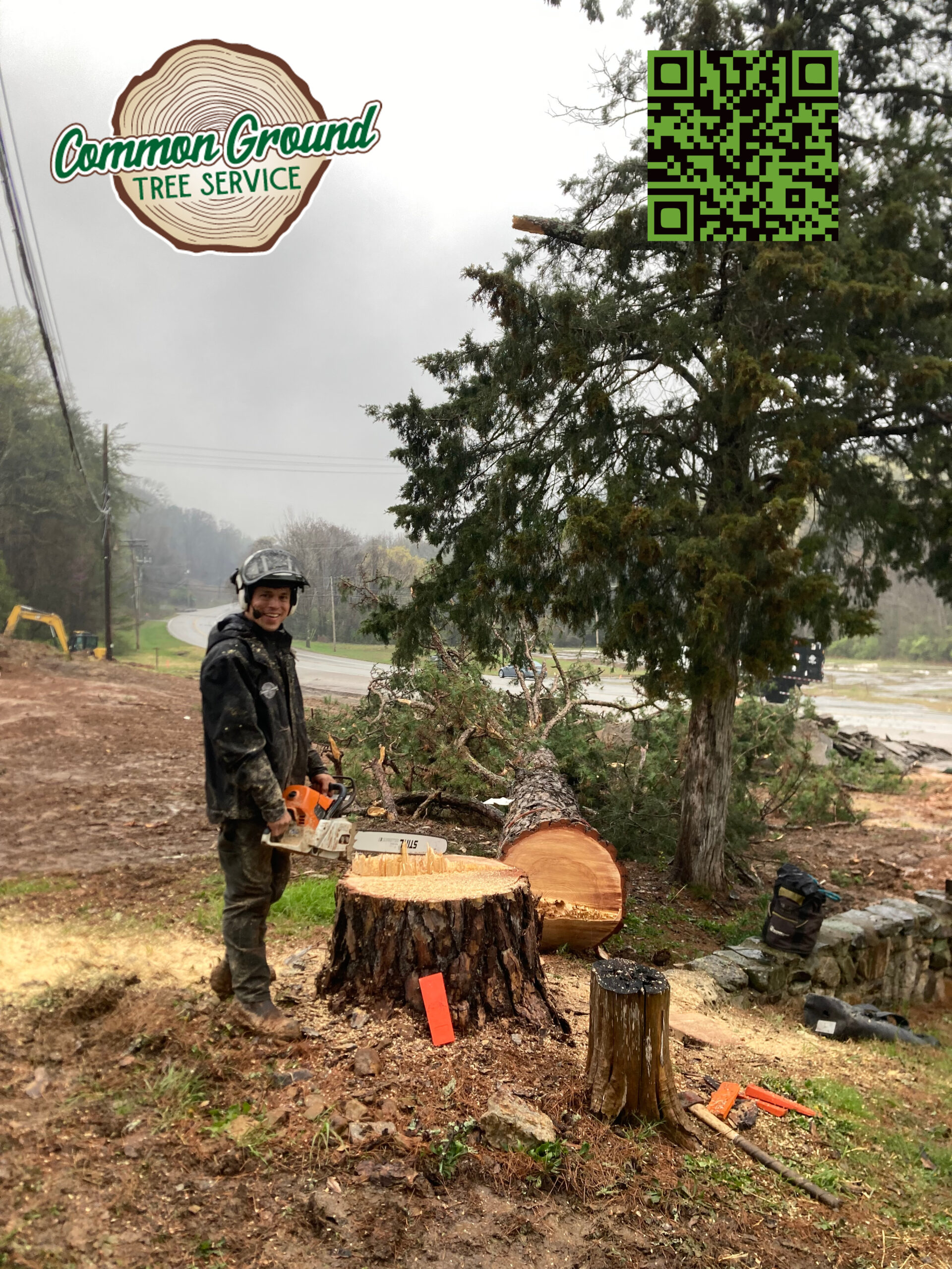 Stump Grinding Chattanooga