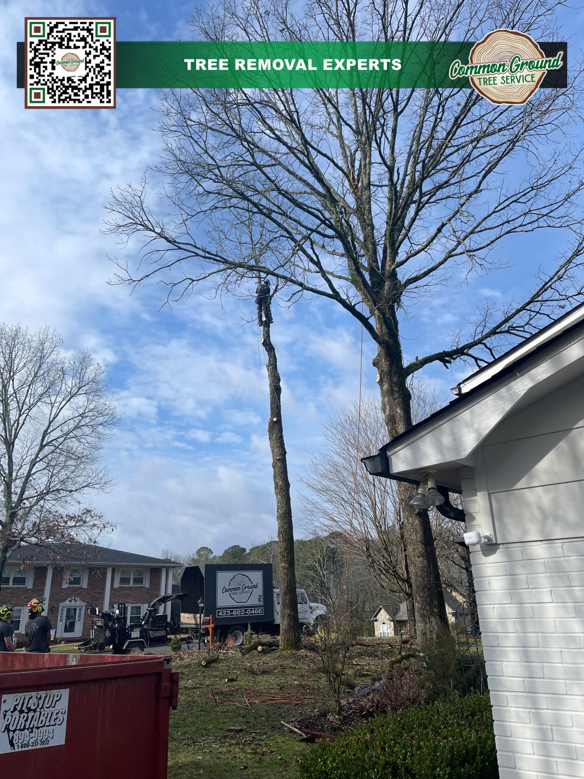 Tree Maintenance Chattanooga