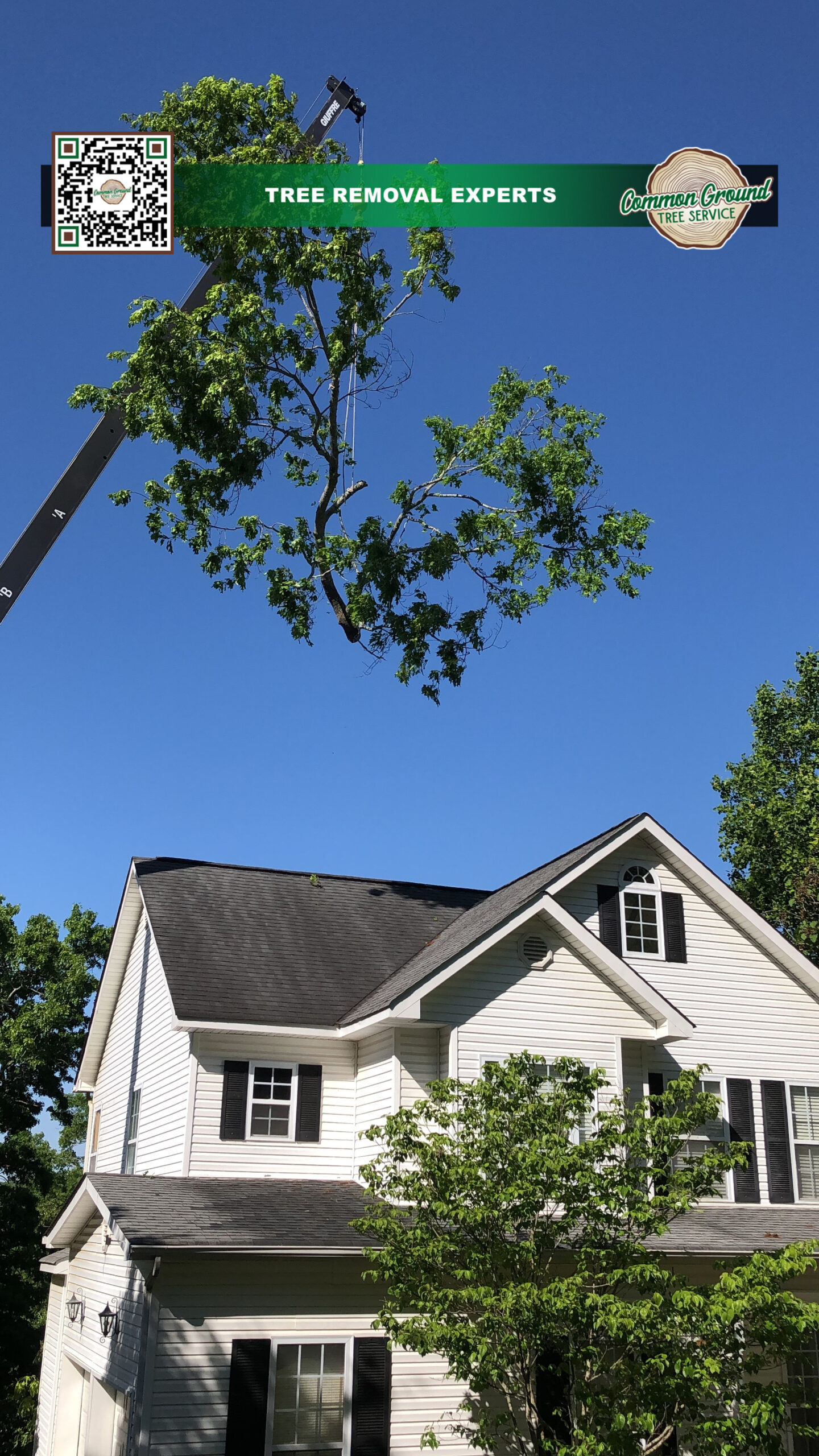 Crane Service Chattanooga