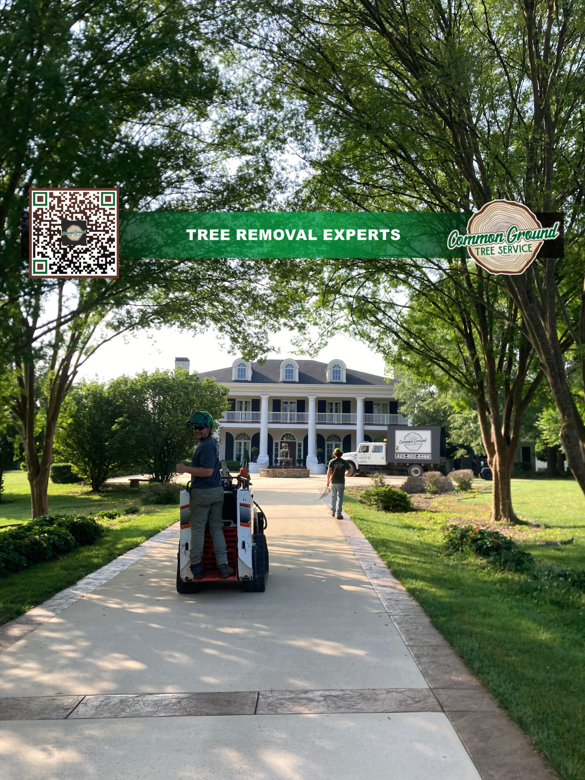 Tree Maintenance Chattanooga Tree Maintenance Chattanooga