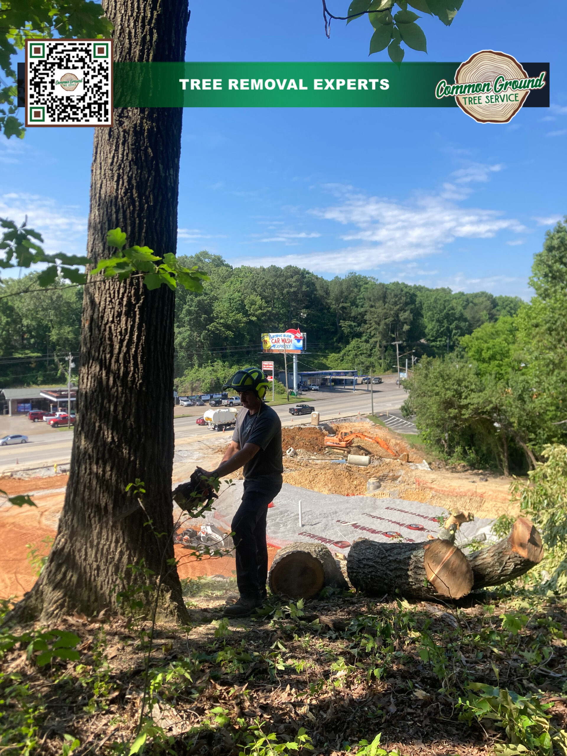 Tree Removal Chattanooga